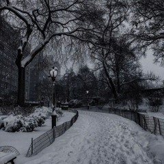 SNOWFALL 2