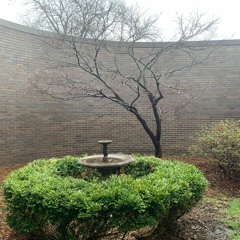 Light Of The Word - Demo