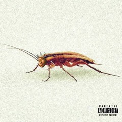 isle delfino (Prod. by MAJESTIC x TREETIME)