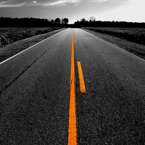 Path We Take