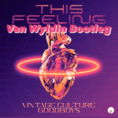 Vintage Culture - This Feeling (Van Wylden Bootleg)