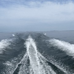 Meripelastus (feat. Marjukka)