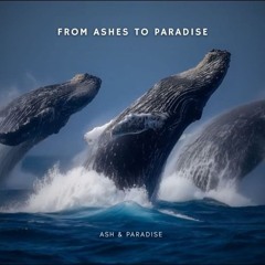 Ash & Paradise - From Ashes To Paradise