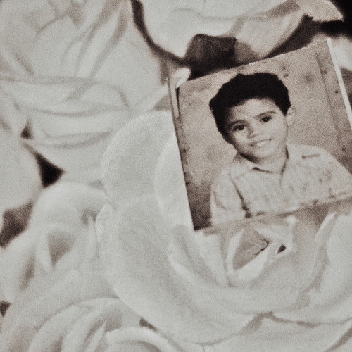 Birds Can't See Heaven