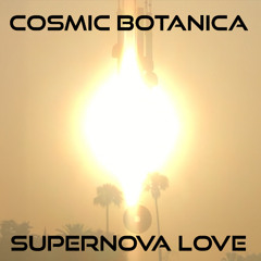 Supernova Love