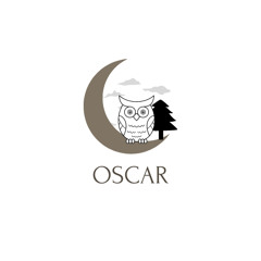 oscar choque fidel 1.1