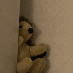 Teddy bear