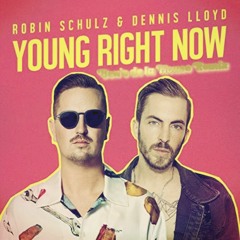 Robin Schultz & Dennis Lloyd - You Right Now (Ben's de la House Remix)