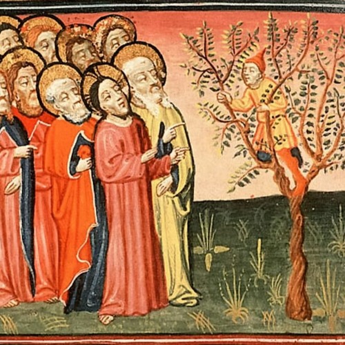 Stream Sermon Luke 19:1-11. Jesus and Zacchaeus by St Matthew's