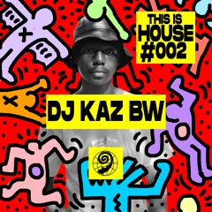 Dj Kaz Bw (GUEST MIX) - This Is House Ep#002 | Africa Mix