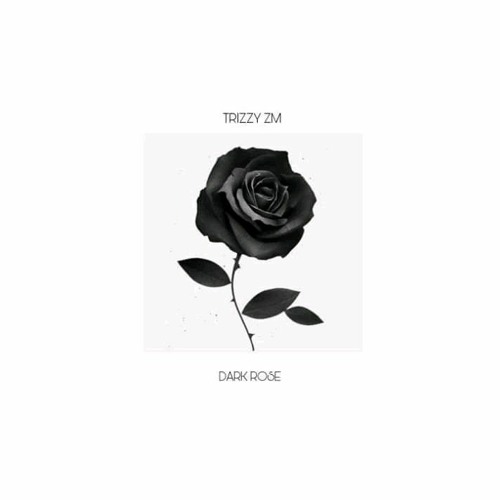Trizzy zm - Dark Rose (prod. HoodJunky).mp3