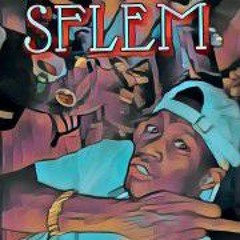 SFLEM TOOKA-2023