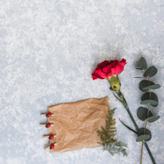 Birds Eye View - 97bpm @jahotb