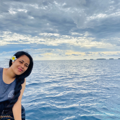 DR STEEVE - HERMANE FLERET ( ARO STYLE FAMILY ) 2021