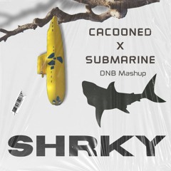 Cocooned x Submarine - Bungle vs. Grafix, Flowidus - SHRKY's Mashup