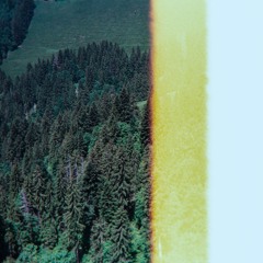 Signals from Mirror Creek