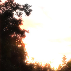 Wonderfilled World