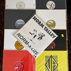 A Celebration of and Dedication to House Music (Vinyl Only)