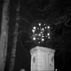 bruine