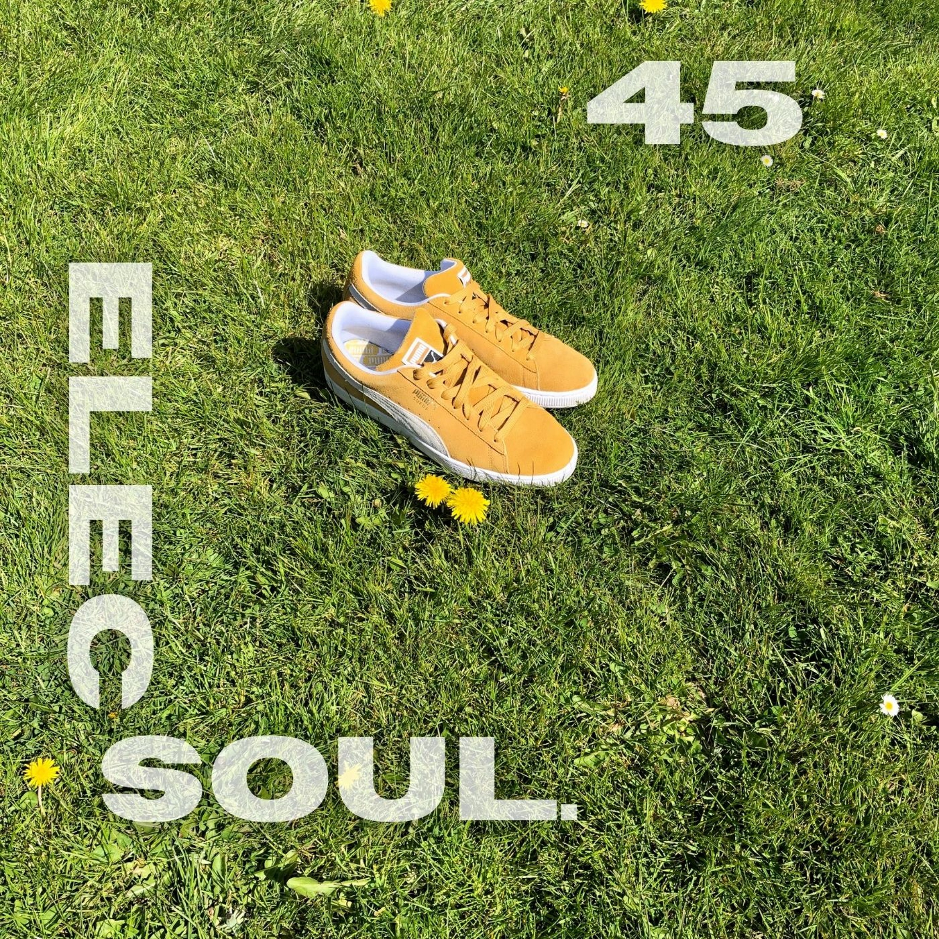 ElecSoul