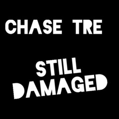 Still Damaged