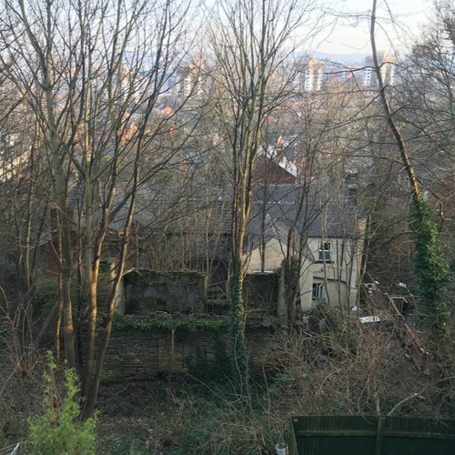 "Fixture Picture" - Aldous Harding