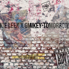 Larkside Leek X Gmikey-Tomorrow Remix