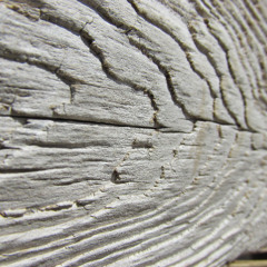 DT12.3 Langorice