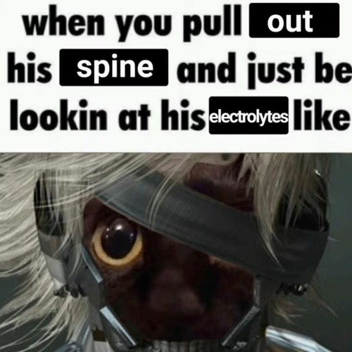 An Incorrect Summary of Metal Gear Rising