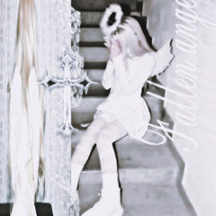 Fallen angel(Fly)🪽♡♡☆٭*