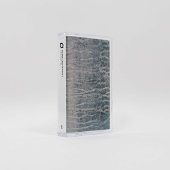 Chasing The Power (Emergetyki - Dinzu Artefacts 2021)