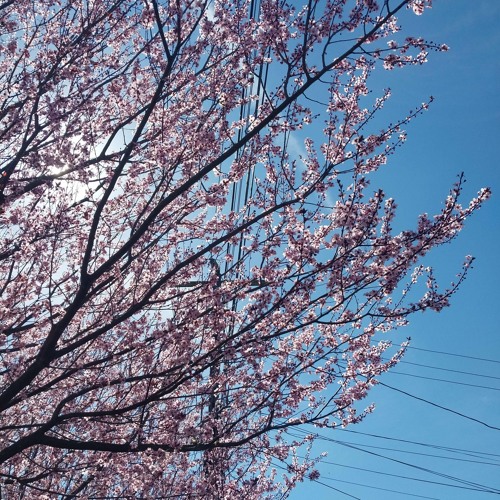 ;['\];['\];['\];['\]