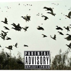 Lil Braids - Птицы Улетят...