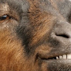 2k19 bez masteringu i chuj ;3 MEE