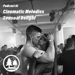 Sensual Delight - Cinematic Melodies - PimP Events Podcast 01