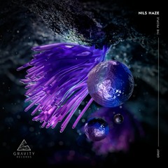 Nils Haze - Make The Feel (Original Mix)