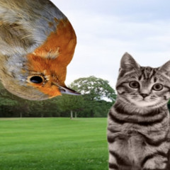 The Recording Angel w/ The Avalanches & Carpainter  240925