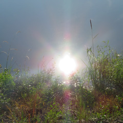 Ice Rink rmx (dirty mix)