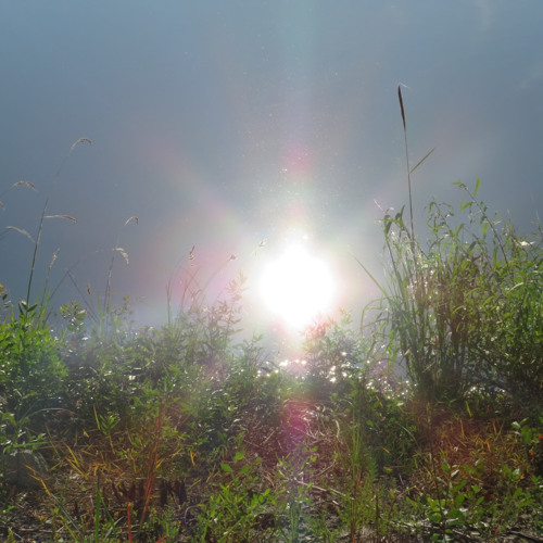 Ice Rink rmx (dirty mix)