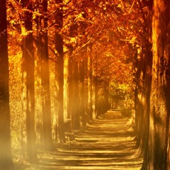 Change to Fall