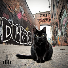 Street Sweeper