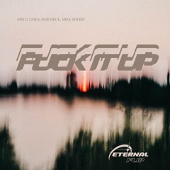 DISCO LINES - FUCK IT UP (ETERNAL FLIP)