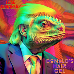 Lead Chambers - Donald's Hair Gel - Spring City, PA 2-24-24