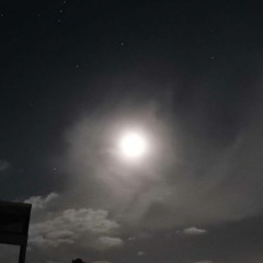 Underfell - M.E.G.A.L.O.V.A.N.I.A (My Take)