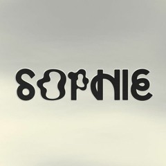 SOPHIE - Don't Make Me Wait (feat Bibi Bourelly)