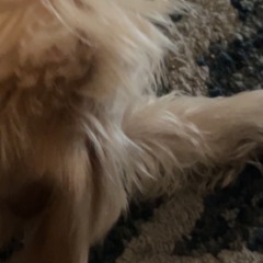 DONE.m4a (JAKE! Throwaway)