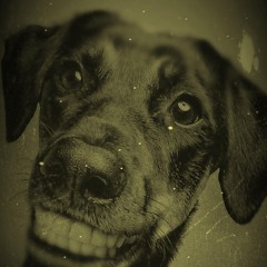 TO JOE AHPPY BIRTHDAY  VIBEZ  with LV in the mix from DJ WEGGY