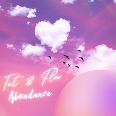 Abundance Alignment