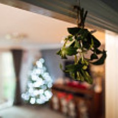 Mistletoe  Mood