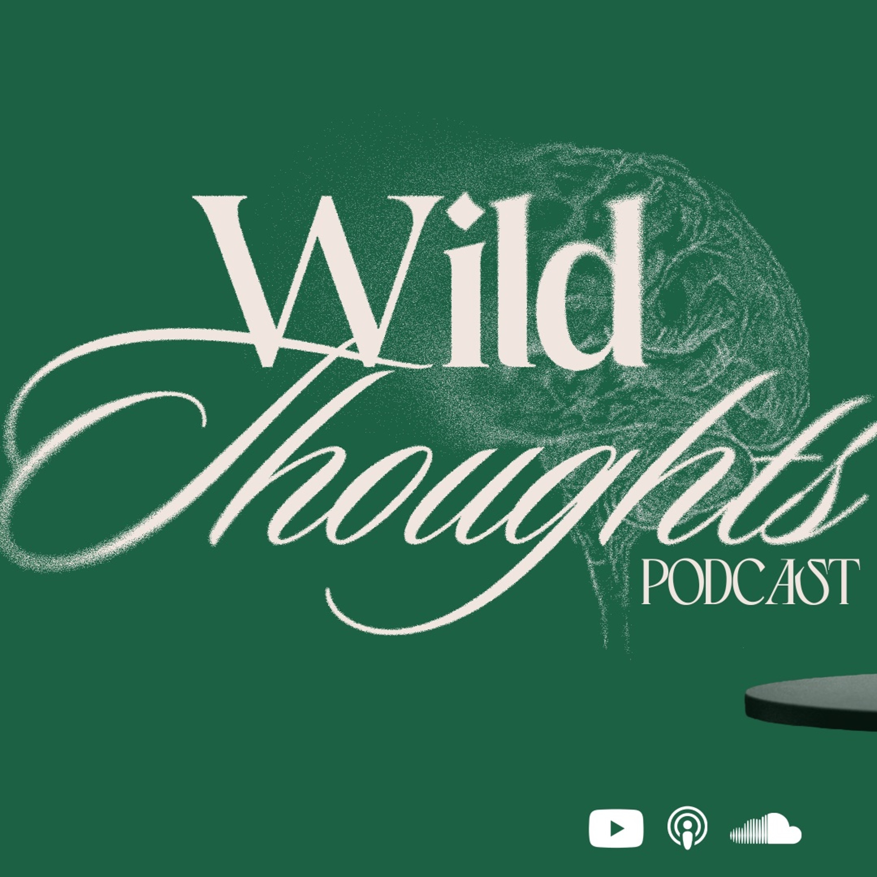 wild thoughts. 003 episode artwork